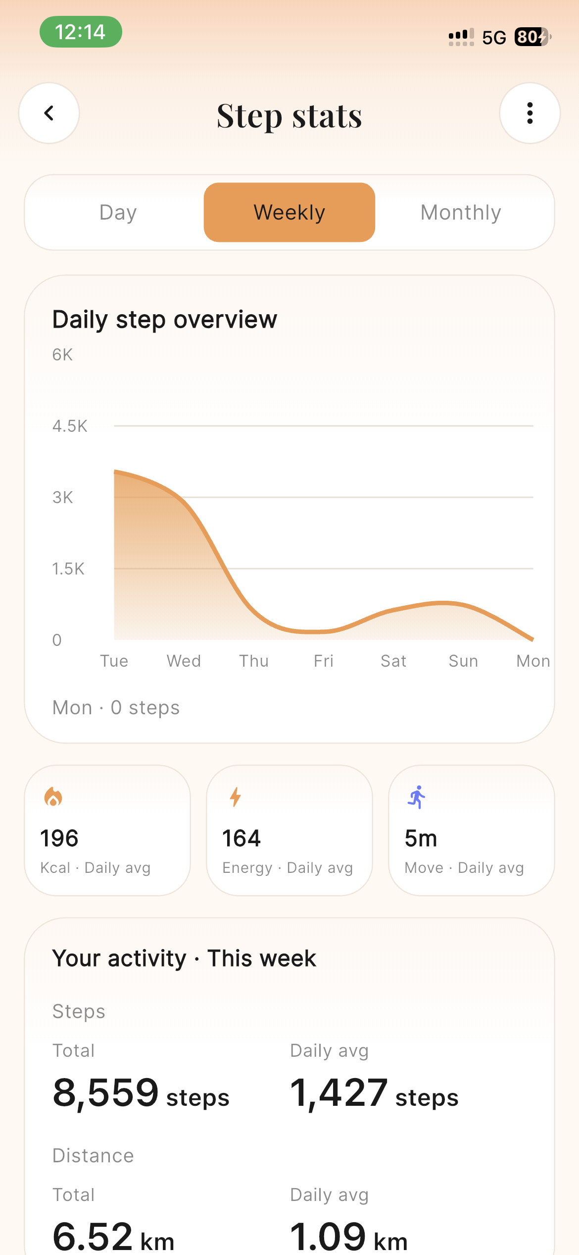 Step Stats app screenshot